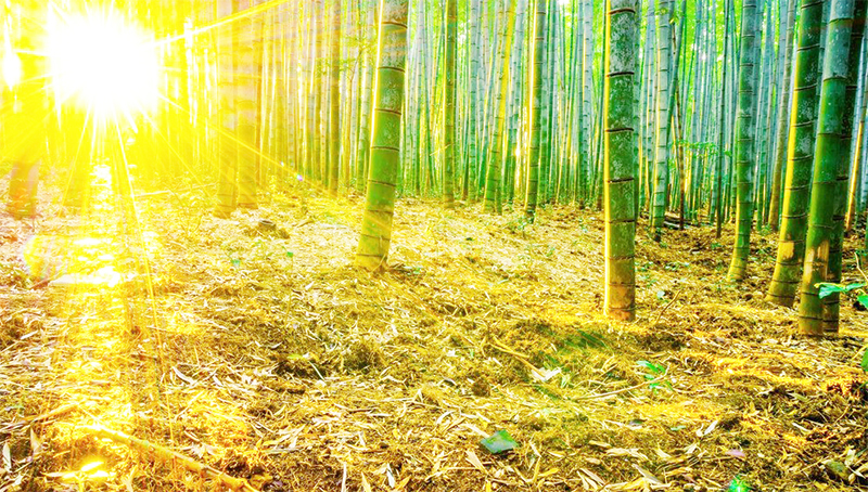 化妝品包裝盒 化妝品包裝盒